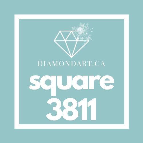 Square Diamonds DMC 3800 - 5200-500 diamonds (3 grams)-3811-DiamondArt.ca