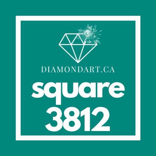 Square Diamonds DMC 3800 - 5200-500 diamonds (3 grams)-3812-DiamondArt.ca