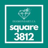 Square Diamonds DMC 3800 - 5200-500 diamonds (3 grams)-3812-DiamondArt.ca