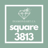 Square Diamonds DMC 3800 - 5200-500 diamonds (3 grams)-3813-DiamondArt.ca