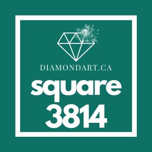 Square Diamonds DMC 3800 - 5200-500 diamonds (3 grams)-3814-DiamondArt.ca