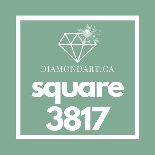 Square Diamonds DMC 3800 - 5200-500 diamonds (3 grams)-3817-DiamondArt.ca