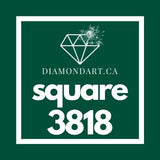 Square Diamonds DMC 3800 - 5200-500 diamonds (3 grams)-3818-DiamondArt.ca