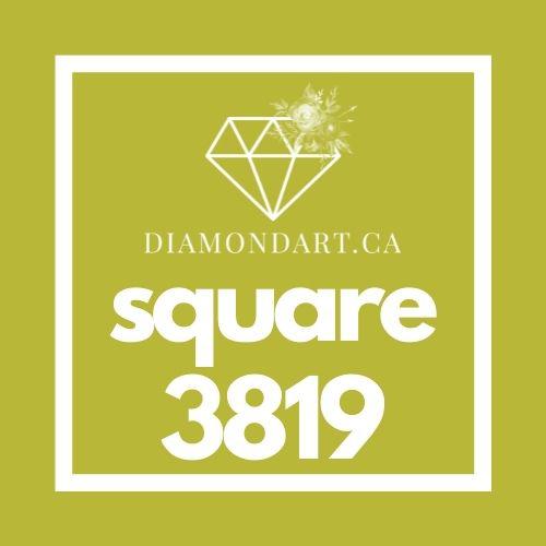 Square Diamonds DMC 3800 - 5200-500 diamonds (3 grams)-3819-DiamondArt.ca