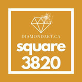 Square Diamonds DMC 3800 - 5200-500 diamonds (3 grams)-3820-DiamondArt.ca