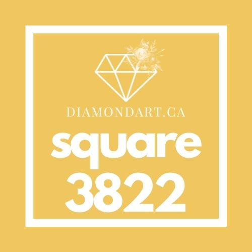 Square Diamonds DMC 3800 - 5200-500 diamonds (3 grams)-3822-DiamondArt.ca
