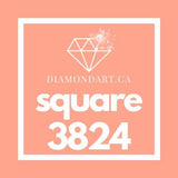 Square Diamonds DMC 3800 - 5200-500 diamonds (3 grams)-3824-DiamondArt.ca