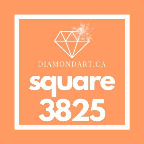 Square Diamonds DMC 3800 - 5200-500 diamonds (3 grams)-3825-DiamondArt.ca