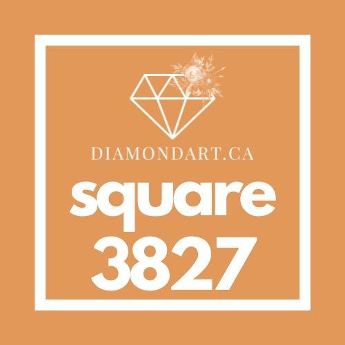 Square Diamonds DMC 3800 - 5200-500 diamonds (3 grams)-3827-DiamondArt.ca