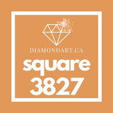 Square Diamonds DMC 3800 - 5200-500 diamonds (3 grams)-3827-DiamondArt.ca