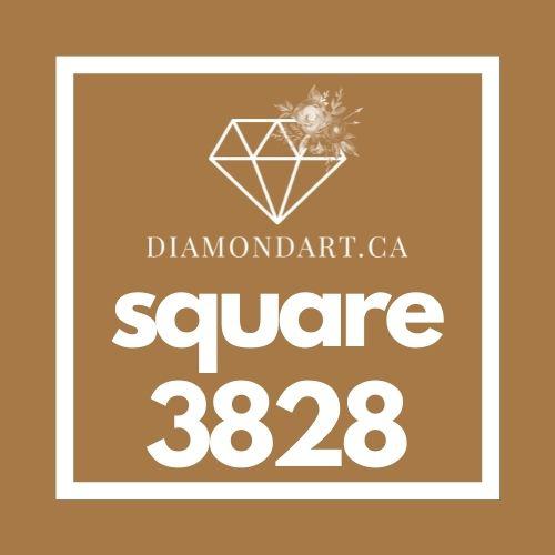 Square Diamonds DMC 3800 - 5200-500 diamonds (3 grams)-3828-DiamondArt.ca