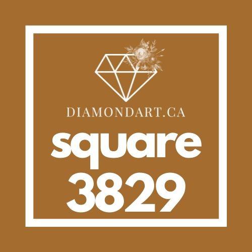 Square Diamonds DMC 3800 - 5200-500 diamonds (3 grams)-3829-DiamondArt.ca