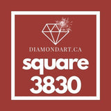 Square Diamonds DMC 3800 - 5200-500 diamonds (3 grams)-3830-DiamondArt.ca