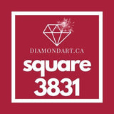 Square Diamonds DMC 3800 - 5200-500 diamonds (3 grams)-3831-DiamondArt.ca