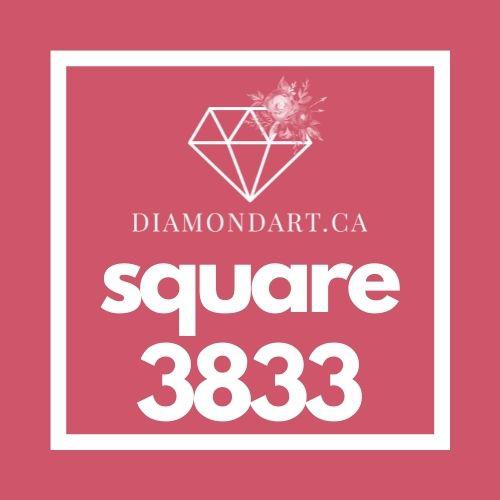 Square Diamonds DMC 3800 - 5200-500 diamonds (3 grams)-3833-DiamondArt.ca