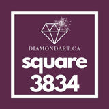 Square Diamonds DMC 3800 - 5200-500 diamonds (3 grams)-3834-DiamondArt.ca