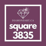 Square Diamonds DMC 3800 - 5200-500 diamonds (3 grams)-3835-DiamondArt.ca