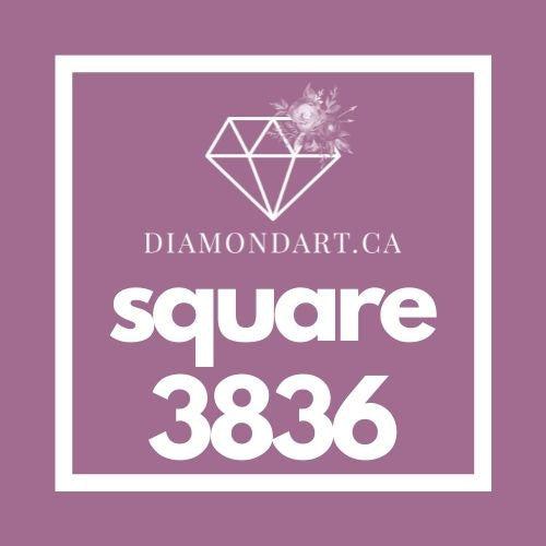 Square Diamonds DMC 3800 - 5200-500 diamonds (3 grams)-3836-DiamondArt.ca