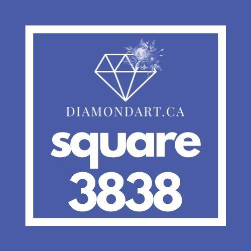 Square Diamonds DMC 3800 - 5200-500 diamonds (3 grams)-3838-DiamondArt.ca