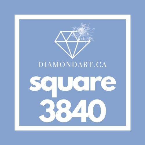 Square Diamonds DMC 3800 - 5200-500 diamonds (3 grams)-3840-DiamondArt.ca