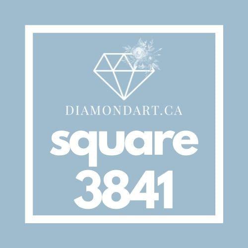 Square Diamonds DMC 3800 - 5200-500 diamonds (3 grams)-3841-DiamondArt.ca