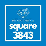 Square Diamonds DMC 3800 - 5200-500 diamonds (3 grams)-3843-DiamondArt.ca