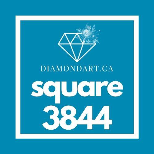 Square Diamonds DMC 3800 - 5200-500 diamonds (3 grams)-3844-DiamondArt.ca