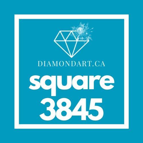 Square Diamonds DMC 3800 - 5200-500 diamonds (3 grams)-3845-DiamondArt.ca