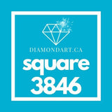Square Diamonds DMC 3800 - 5200-500 diamonds (3 grams)-3846-DiamondArt.ca