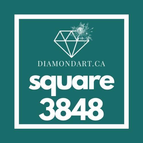 Square Diamonds DMC 3800 - 5200-500 diamonds (3 grams)-3848-DiamondArt.ca