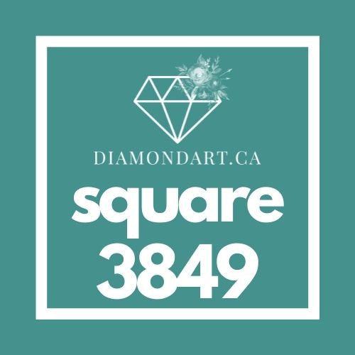 Square Diamonds DMC 3800 - 5200-500 diamonds (3 grams)-3849-DiamondArt.ca