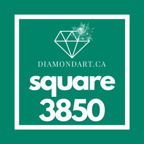 Square Diamonds DMC 3800 - 5200-500 diamonds (3 grams)-3850-DiamondArt.ca