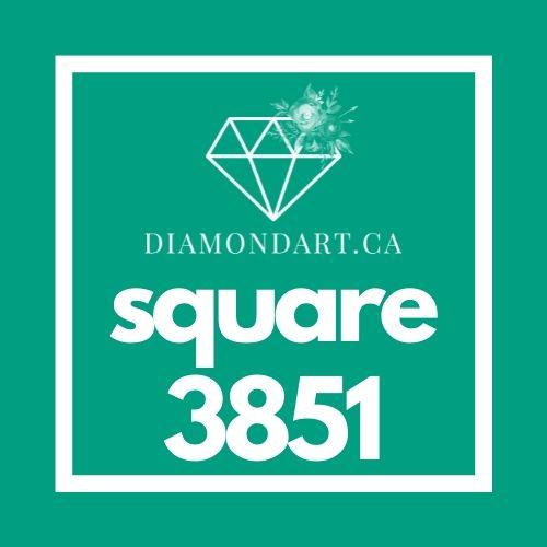 Square Diamonds DMC 3800 - 5200-500 diamonds (3 grams)-3851-DiamondArt.ca