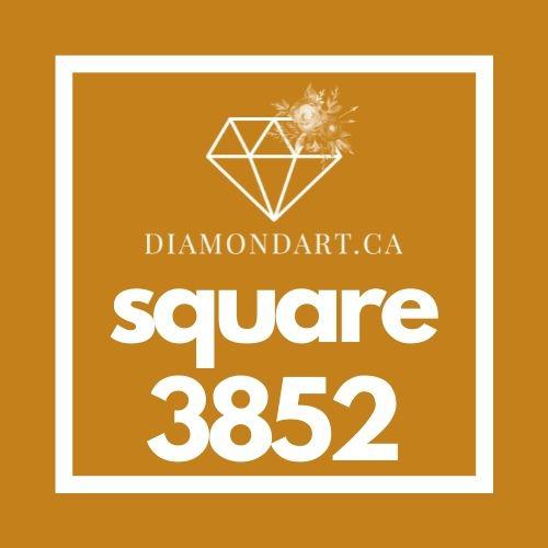Square Diamonds DMC 3800 - 5200-500 diamonds (3 grams)-3852-DiamondArt.ca