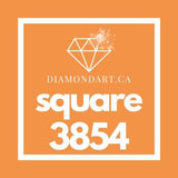Square Diamonds DMC 3800 - 5200-500 diamonds (3 grams)-3854-DiamondArt.ca
