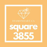 Square Diamonds DMC 3800 - 5200-500 diamonds (3 grams)-3855-DiamondArt.ca