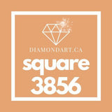 Square Diamonds DMC 3800 - 5200-500 diamonds (3 grams)-3856-DiamondArt.ca