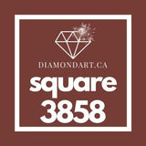 Square Diamonds DMC 3800 - 5200-500 diamonds (3 grams)-3858-DiamondArt.ca