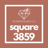 Square Diamonds DMC 3800 - 5200-500 diamonds (3 grams)-3859-DiamondArt.ca