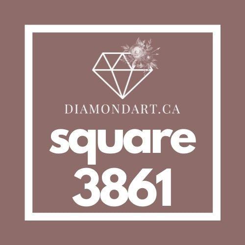 Square Diamonds DMC 3800 - 5200-500 diamonds (3 grams)-3861-DiamondArt.ca