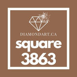 Square Diamonds DMC 3800 - 5200-500 diamonds (3 grams)-3863-DiamondArt.ca