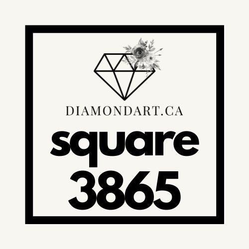 Square Diamonds DMC 3800 - 5200-500 diamonds (3 grams)-3865-DiamondArt.ca