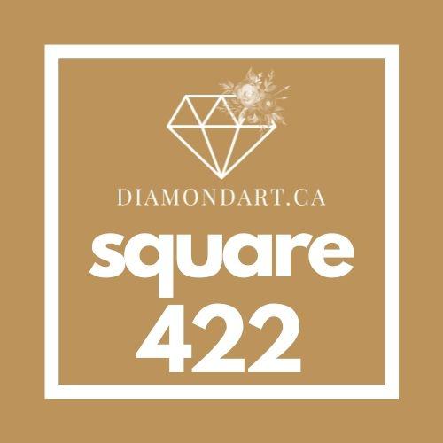 Square Diamonds DMC 100 - 499-500 diamonds (3 grams)-422-DiamondArt.ca