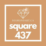 Square Diamonds DMC 100 - 499-500 diamonds (3 grams)-437-DiamondArt.ca