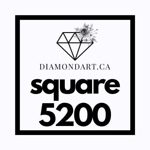 Square Diamonds DMC 3800 - 5200-500 diamonds (3 grams)-5200-DiamondArt.ca