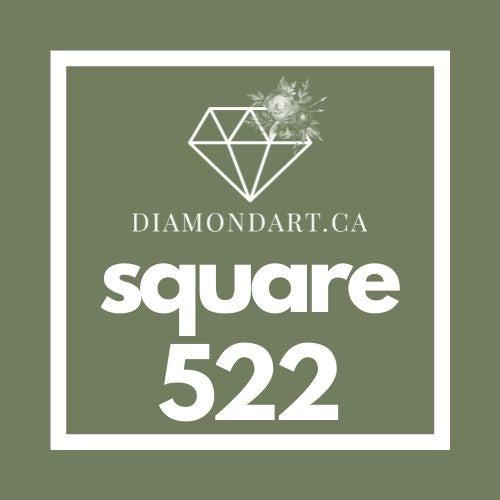 Square Diamonds DMC 500 - 699-500 diamonds (3 grams)-522-DiamondArt.ca