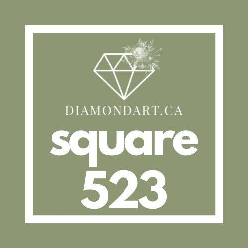 Square Diamonds DMC 500 - 699-500 diamonds (3 grams)-523-DiamondArt.ca
