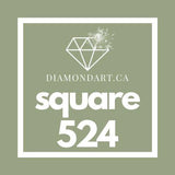 Square Diamonds DMC 500 - 699-500 diamonds (3 grams)-524-DiamondArt.ca