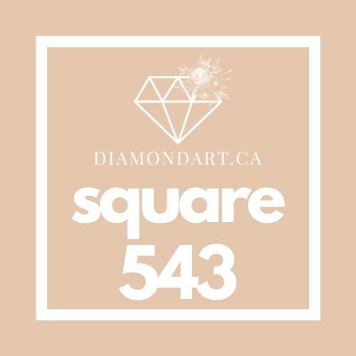 Square Diamonds DMC 500 - 699-500 diamonds (3 grams)-543-DiamondArt.ca
