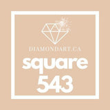 Square Diamonds DMC 500 - 699-500 diamonds (3 grams)-543-DiamondArt.ca